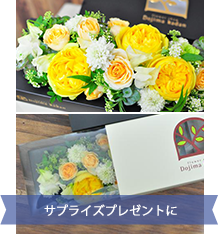 FuruRe: (フルリ) 【イエロー系おまかせ】