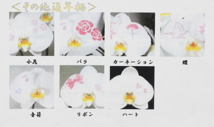 【大阪市内配達エリア限定お届け・送料無料】化粧蘭3本立ち　絵柄・文字入り